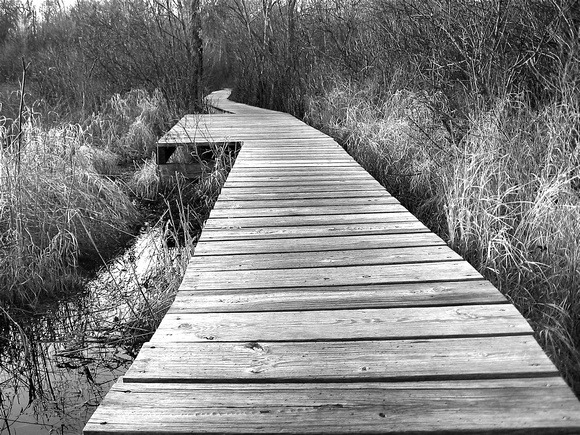 boardwalk/black & white